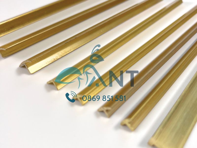 Nẹp đồng chữ T ANT