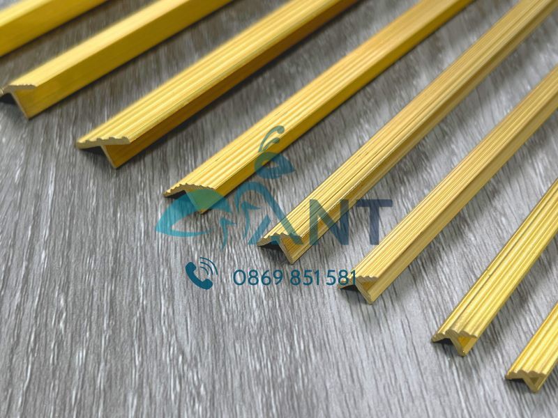 Nẹp đồng chữ T ANT