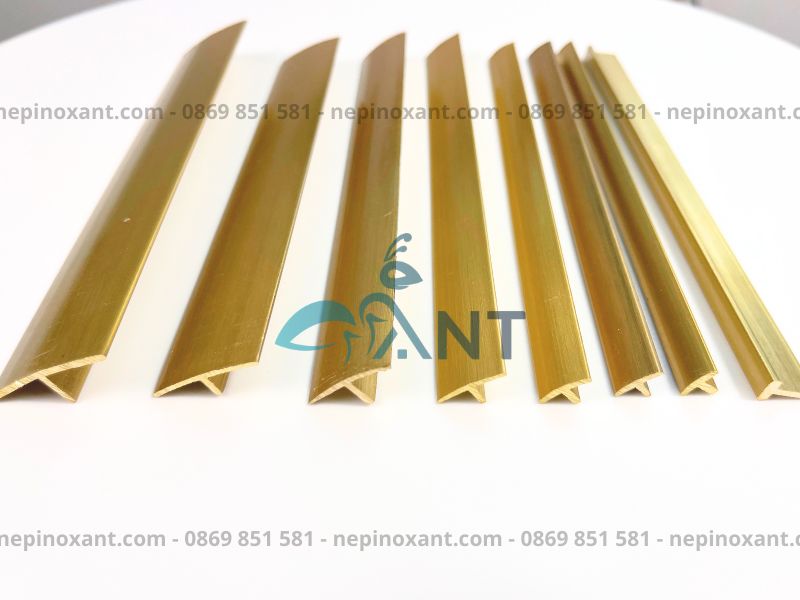 Nẹp đồng chữ T ANT