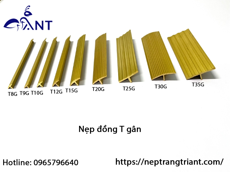 Nẹp đồng T gân