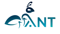 ANT LOGO 01